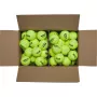 Box of 72 triniti club balls
