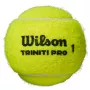 Tube of 4 WILSON triniti pro balls