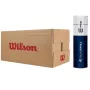 Box of 18 tubes of 4 WILSON triniti pro balls