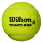 Tube of 3 WILSON triniti pro balls