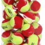TECNIFIBRE my new ball bag of 36