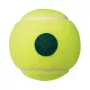 Barrel of 60 green YONEX tmp-40 balls