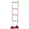 WILSON training ladder