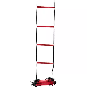 WILSON training ladder