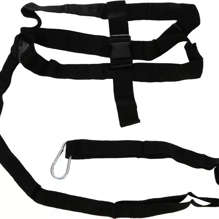 Resistance harness
