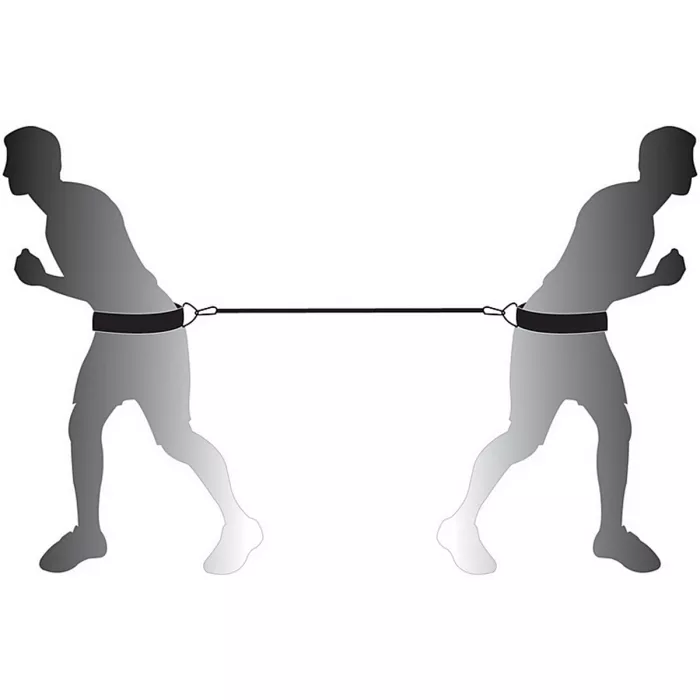 Dual resistance harness