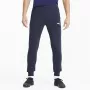 PUMA casual team goal 23 pants