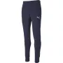 PUMA casual team goal 23 pants