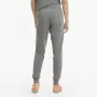 PUMA casual team goal 23 pants