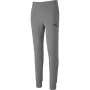 PUMA casual team goal 23 pants