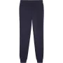 PUMA casual team goal pants