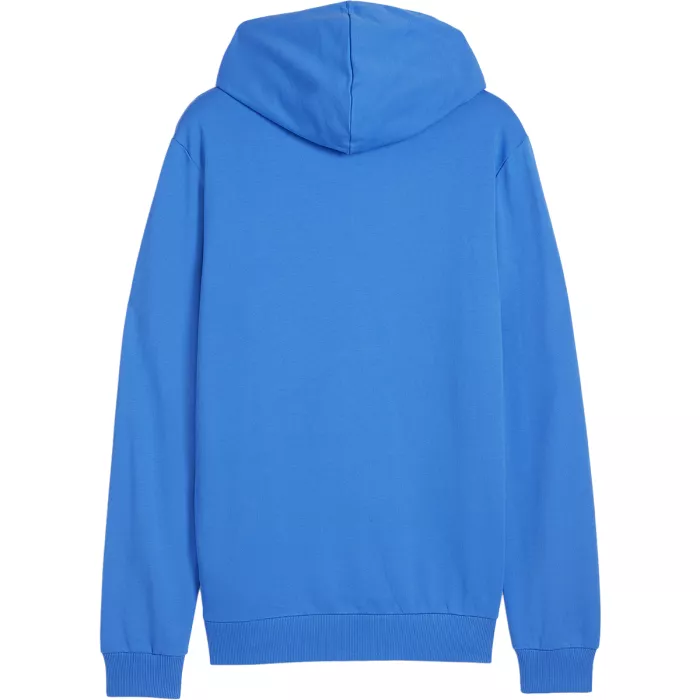PUMA casual team goal hoodie