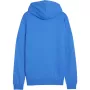 PUMA casual team goal hoodie