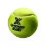Tube of 3 OXDOG boost padel balls