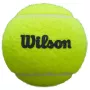 Tube of 3 WILSON premier padel balls