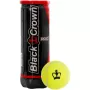 Box of 24 tubes of BLACK CROWN pro padel balls