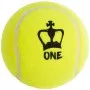 Box of 24 tubes of BLACK CROWN one padel balls