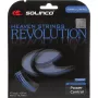 SOLINCO revolution rope (12 metres)