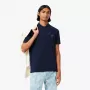 Polo LACOSTE core performance ottoman regular fit