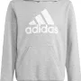 Sweat ADIDAS junior garcon big logo a capuche