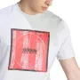ADIDAS tiro box t-shirt