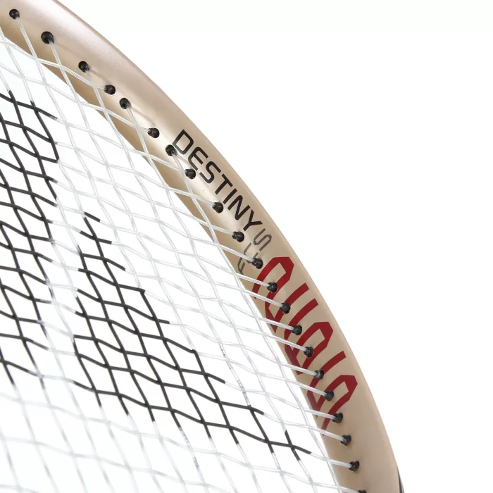 Racket PRO KENNEX destiny fcs gold (265 gr)