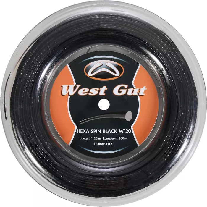 WEST GUT mt20 hexa spin coil (coil - 200m)