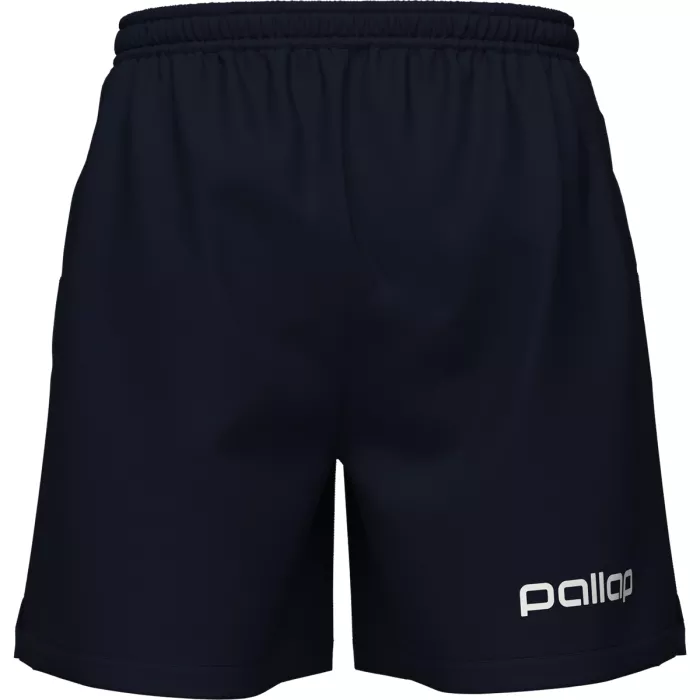 Short PALLAP competition