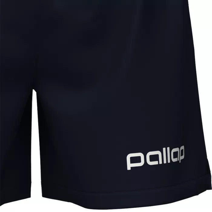 Short PALLAP competition