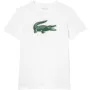 LACOSTE training big logo core performance t-shirt