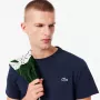 T-shirt LACOSTE graphique heritage