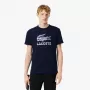 T-shirt  LACOSTE medvedev training new york