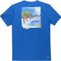 LACOSTE Miami Open T krekls