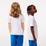 T-shirt LACOSTE junior roland-garros