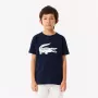 T-shirt LACOSTE junior croco