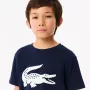 T-shirt LACOSTE junior croco