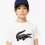 T-krekls LACOSTE junior croco